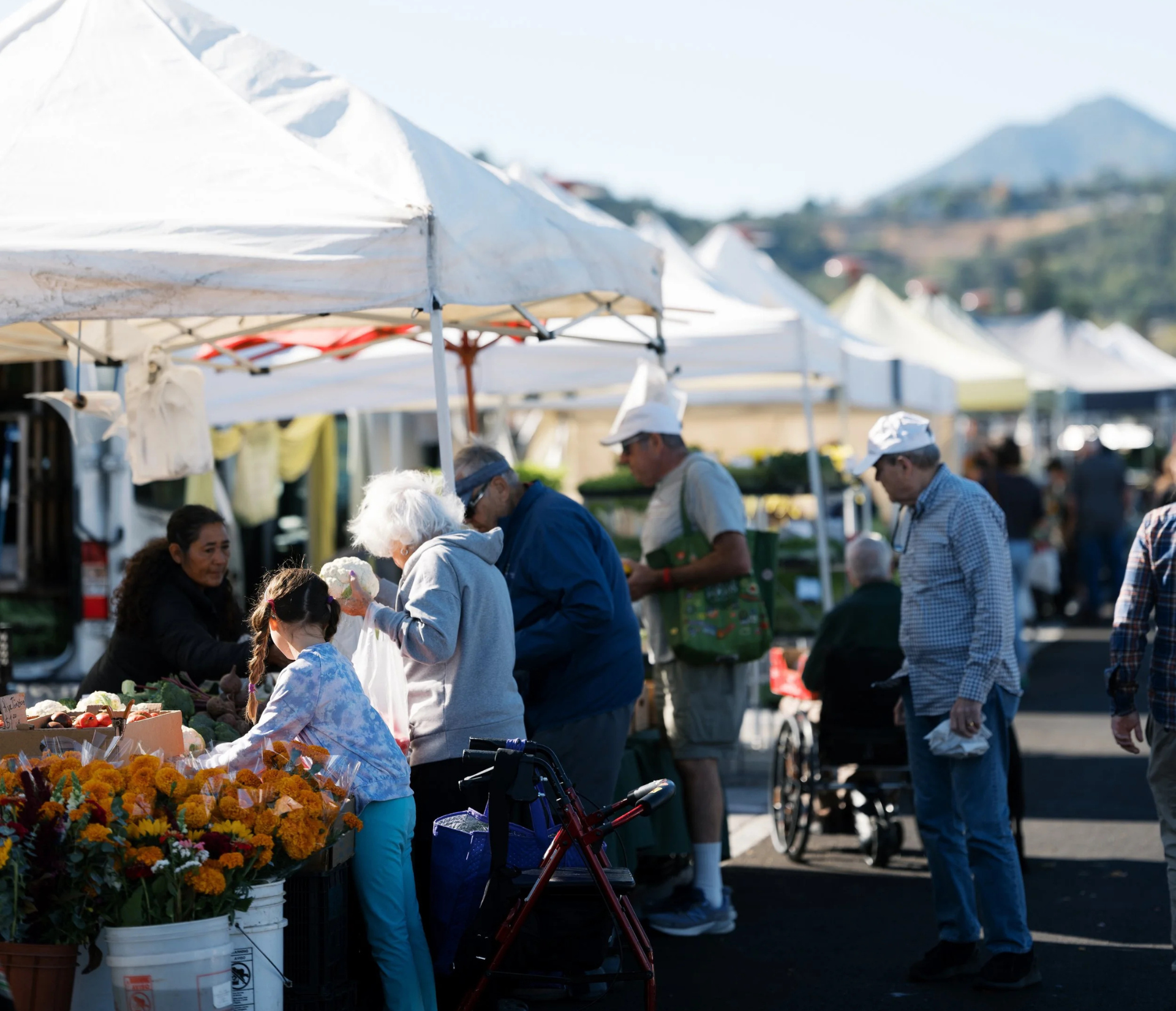 Marin Farmers Markets